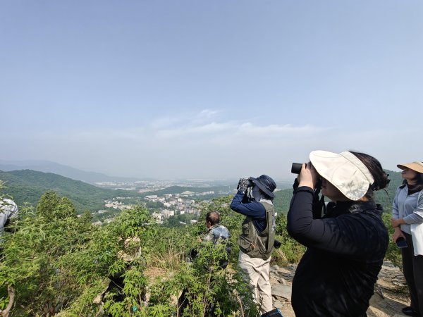 配资平台提供咨询 北京有条“猛禽通道”！今年有非同寻常的新发现