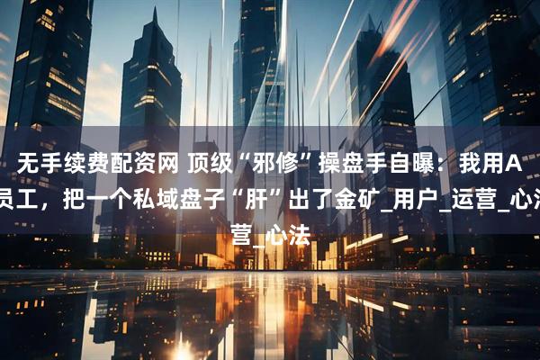 无手续费配资网 顶级“邪修”操盘手自曝:我用AI员工,把一个私域盘子“肝”出了金矿_用户_运营_心法